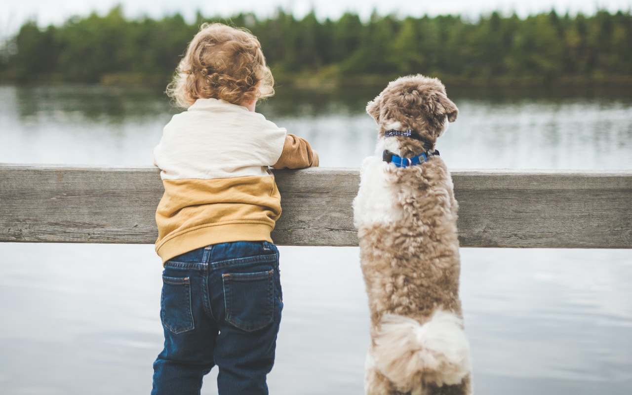 Како одрастање са псом утиче на децу?