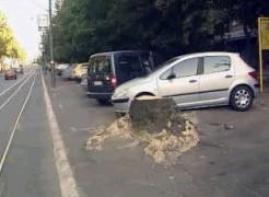 Новинари нашли одрубљену главу у Београду