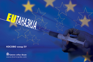 Ђелић: Србија кандидат за ЕУ 2009. године