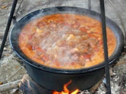 Манифестација Традиционални укуси југа одржана у Врањској Бањи