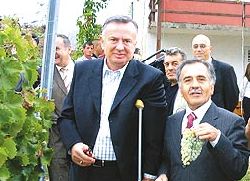 Почела берба