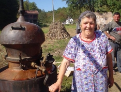 Oj, rakijo rako, ja te volim jako