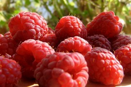 Српски производи у Јапану