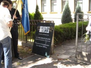 Mлади Демократске партије