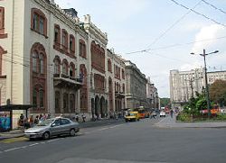 На бранику домаће књижевности