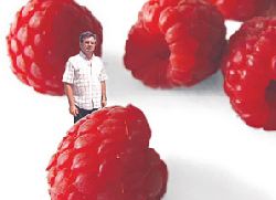 Srpske maline nema ko da obere