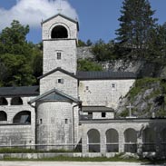 Borovnice na Dvorskom trgu