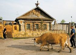 Tajkuni kupuju sela