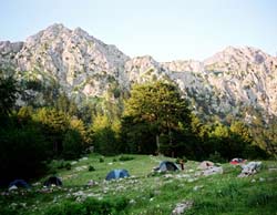 Руси освајају и катуне