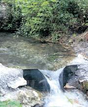 Draža i Tito pored čudotvornog izvora