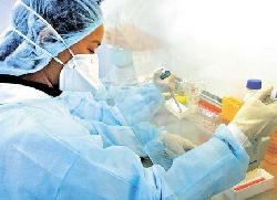 Пронађен нови тип вируса H5N1