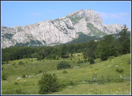 СИПА ухапсила Ђорђислава Ашкрабу