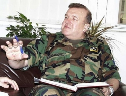 Муџахедине довела СДА
