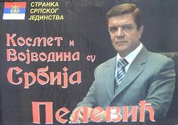 Пелевић на листи радикала
