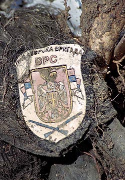 На интернету игнорисане српске жртве