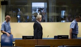 Караџић тражи документа од немачке владе